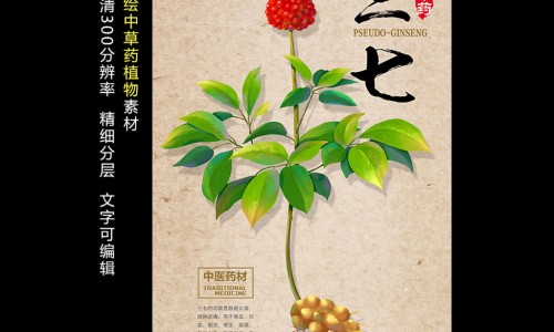 菊三七尽量少吃最好不吃-菊三七尽量少吃最好不吃、吃菊三七有什么禁忌和功效 -吃菊三七有什么禁忌网