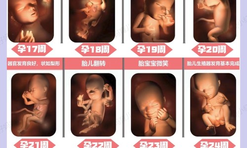 菊三七尽量少吃最好不吃、吃菊三七有什么禁忌和功效 -吃菊三七有什么禁忌网