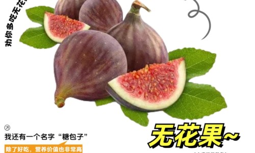 菊三七能吃吗-菊三七尽量少吃最好不吃、吃菊三七有什么禁忌和功效 -吃菊三七有什么禁忌网